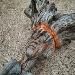 face carving, mauritian artist, sculpture of face, dead wooden tree, carving, mauritius art